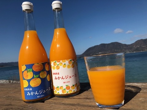 【無添加】みかんジュース6本 果汁100% (720ml/本)