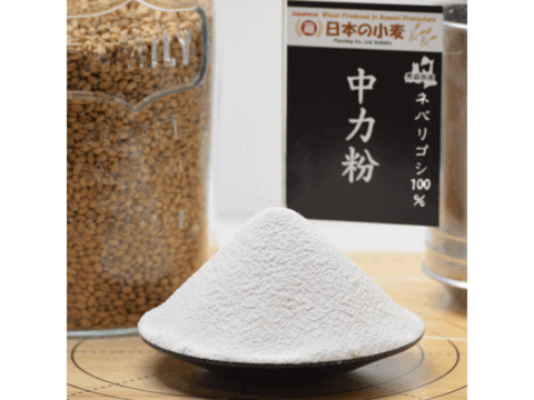 中力粉 400g 青森県産単一品「ネバリゴシ」100％使用 日本の小麦 メール便 国産小麦 国産小麦粉