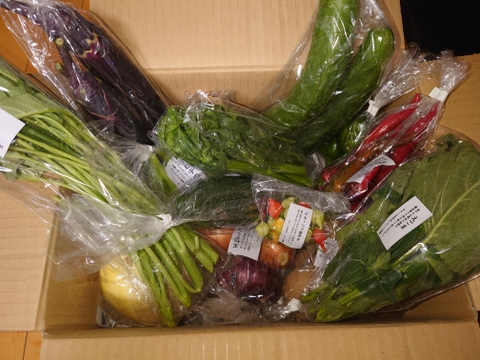 【旬のVEGE箱（Rサイズ）】土壌医＆有機農家がつくる！畑の「今」を箱いっぱいにつめこんだ野菜セット（約11〜12品種）