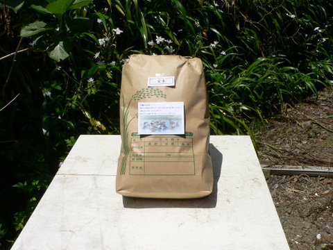 令和５年新米【合鴨が育てたお米】 玄米 ５ｋｇ農薬化学肥料不使用