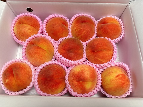 大きくて硬い桃　【おどろき】　3kg　8～14玉　8月下旬　希少な桃　収穫した日に発送　家庭用　農家直送