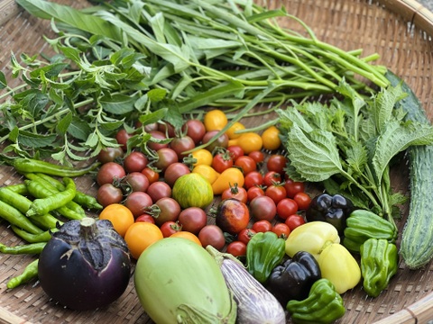 自然農 野菜セット🍀【農薬･肥料･ビニールマルチ不使用／固定種】
