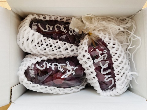 【農薬節約栽培】 スカーレット(種なし) 1キロ箱　山梨県産