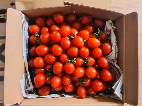 『訳ありA品・アイコ♪』2kg箱:ヘタあり・ヘタ無しランダム♪ちょうどいい酸味と甘味あり満足