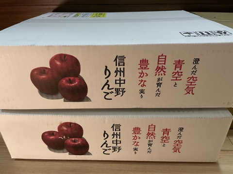 果汁溢れる！ サンふじ【わけあり家庭用 5kg 】