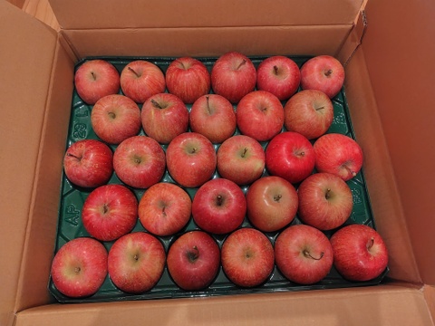 山形産　完熟　　ふじりんご　５Ｋｇ　２８玉
