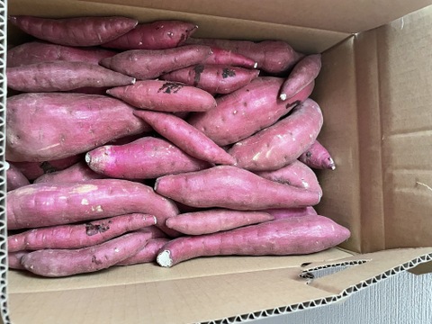 超お得！食品ロス削減応援・訳あり紅はるか5キロ以上！目一杯詰めます。