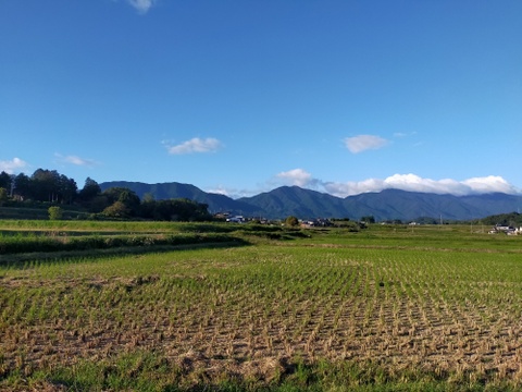 🍠自然栽培サツマイモ『紅はるか』５㎏🍠ネットリ美味しい〜✨✨