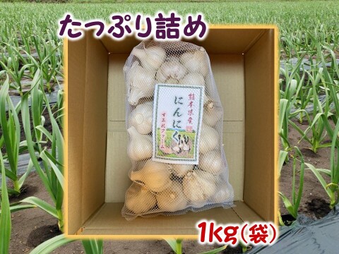 旨味と甘み凝縮！熊本県産『生にんにく』【訳あり】ご家庭用１ｋｇ/袋