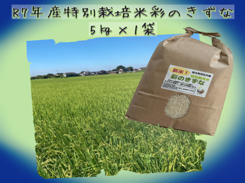 【ミネラル育ちの極上米】Pino farm「弾む、黄金のきずな」～R7年産特別栽培米　彩のきずな　5㎏～