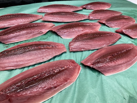 【秋の旨魚】迷いスマカツオ/ヤイト/ホシガツオ/1尾/1kg前後/3枚おろし【冷凍】