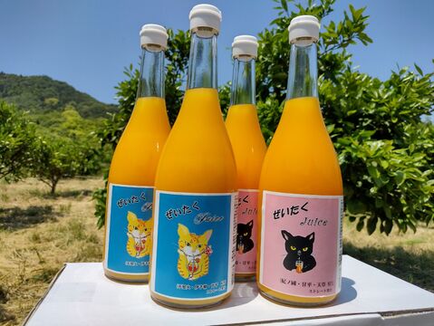 ぜいたく❣『甘平＆不知火みかんのMIXジュース』（720ml×4本）