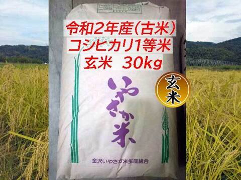 令和２年産〈古米〉コシヒカリ 玄米 30kg 一等米【金沢いやさか米】