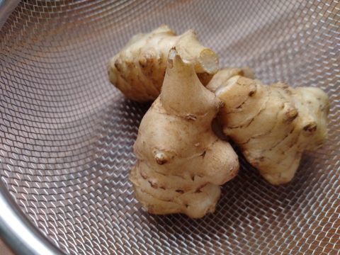 健康増進効果が注目されるキクイモチップス！　飛騨産30ｇ