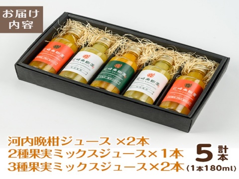 【夏ギフト】贅沢飲み切りタイプ全3種！　まるごと３種類果実ジュース5本セット