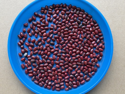 訳あり！有機小豆「合わせ買い（同梱）用」エリモ小豆(900g) オーガニック 北海道十勝 2025年産