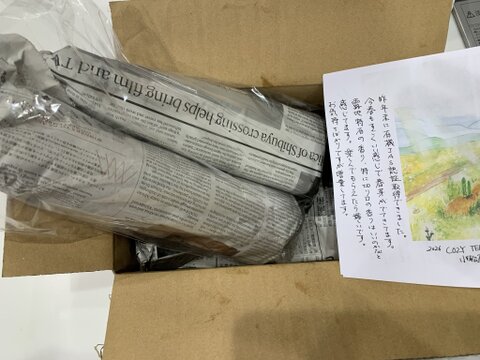 春限定！甘くて珍しい紫アスパラ!!と緑の特別セット 　Lサイズ中心　(1kg)