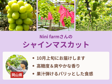 【売り切れ】【限定300セット】ぶどう食べ比べ便　第2弾（食べチョク公式）