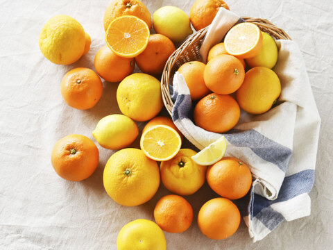 【ご予約受付中】春かんきつお楽しみ箱【家庭用(訳あり)】2.5kg zzz2-2h