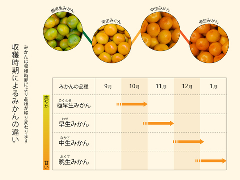 【12/4まで特別価格】有田みかん5kg (ミックスサイズ 2S～3L)  家庭用(訳あり品) やまきずくん 和歌山 311-9