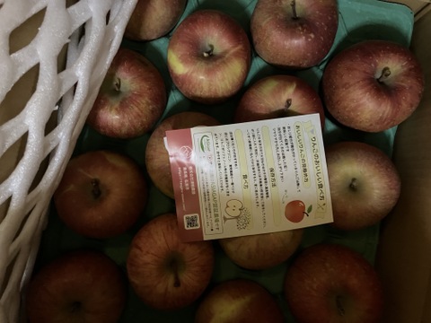 【栄養満点】 葉とらずふじ　5㎏　13～20玉　青森りんご　農家直送