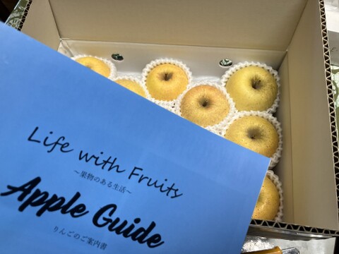 【りんご】幸せの黄色いりんご「はるか3ｋｇ」（フリーサイズ）