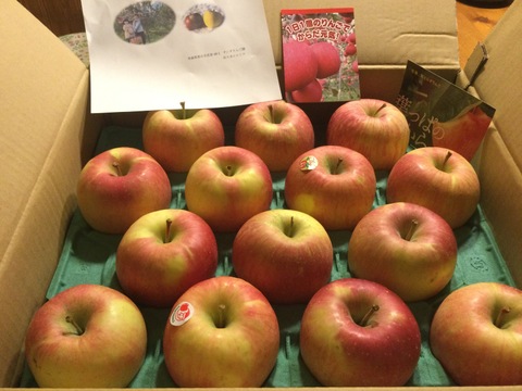 園主一押し!味をとことん突き詰めた青森りんご、“葉とらずサンふじ”　家庭用　約５kg　蜜入り期待大!　農家直送