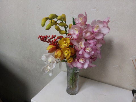 箱いっぱいの蘭・シンビジウムの切り花【アワード受賞福袋】いろいろな品種のシンビジウムが入るお楽しみ福袋