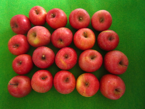 樹上完熟サンふじ 小玉 家庭用 総重量 約4.3kg前後 青森県 南部地方産 自家りんご農園生産直送品！