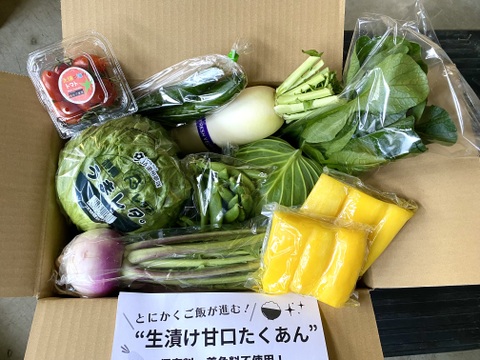 【たくあん2個入】畑より採りたて直送！野菜セット Ｂ（8品）