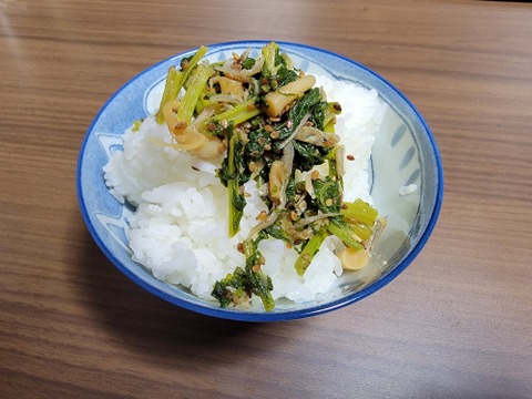 今の時期だけ！聖護院大根の葉大根500g