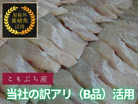 【旨味詰まった冷凍商品】規格外養殖マダイ＆カンパチの一夜干し！各5切れ 計10枚/箱