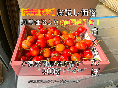 【数量限定お試し価格】さくらんぼご家庭用(訳あり品)300g