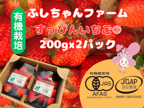 食べチョクいちご博2024 金賞】有機JAS認定 茨城県産有機いちご