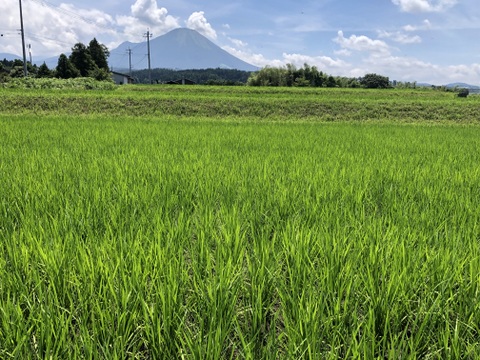 鳥取県産米　令和8年産大山山麓の雪解け水で育てた米10キロ