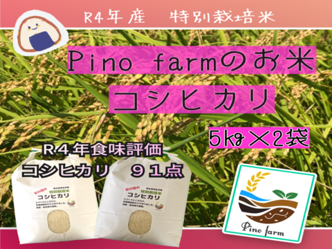 R4年産　Pino farmのお米　特別栽培米コシヒカリ　【５㎏×２袋】