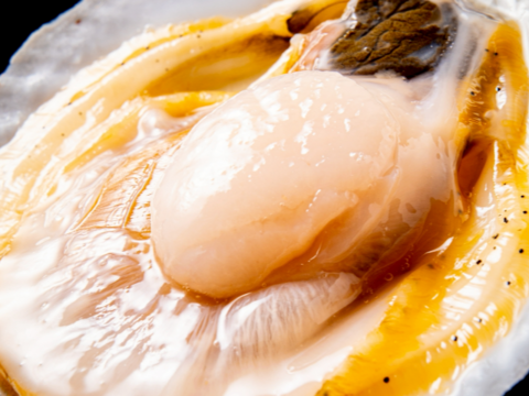 【数量限定】社長特選ホタテ《極》/２年貝３枚入り