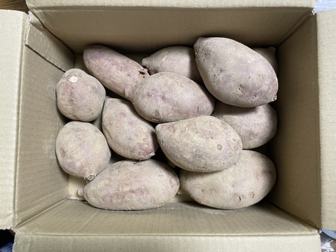 《リピート多数！》こばさんちの安納芋２KG  五島産 自然農業での栽培