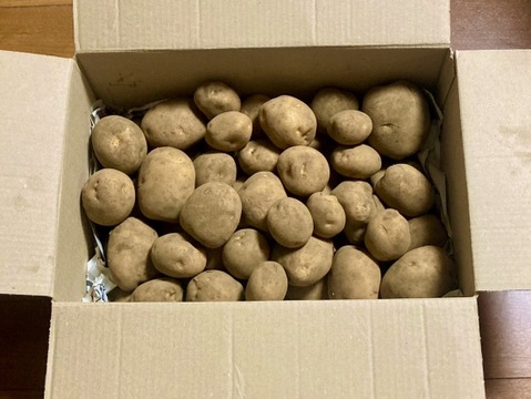 ホックホク！新じゃが！「男爵」約４キロ