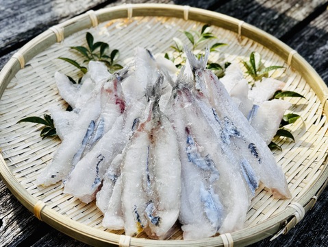 簡単調理・深海メギスの開き加工1PC/15枚