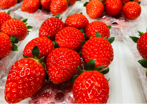 モンスターいちごが登場！宮城県産「スターナイト」！250ｇ×2ｐ入り