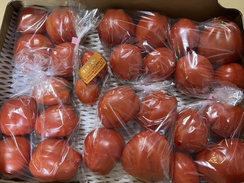 【予約】【牛の心臓トマト3kg】加熱調理で旨味抜群のイタリアン品種！（２５～４０玉）