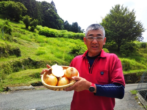 新玉ねぎ４ｋｇ　１６５０円　
生でシャキシャキ、焼きでトロトロ、
コストもリーズナブルです。
【世界農業遺産　ブランド玉ねぎ】