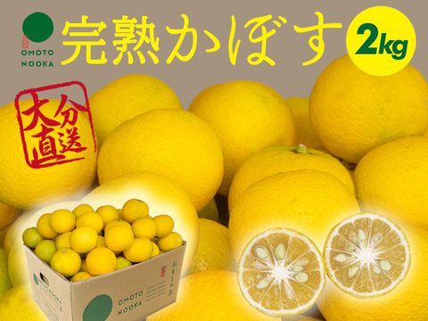 【数量限定】市場にはあまり出回らない、完熟かぼす（2kg 約15～25個）