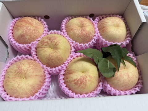 まるせい果樹園の桃【CX】2㎏箱　(6～11玉入り)  mcx2