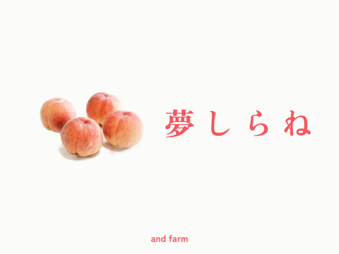 【数量限定・レア桃】夢しらね｜南アルプスの夏を彩る華やかな希少桃（おうち用）約2kg 約5~6玉