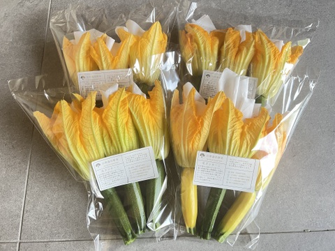 食卓をレストランに！自然栽培の花ズッキーニ　12本