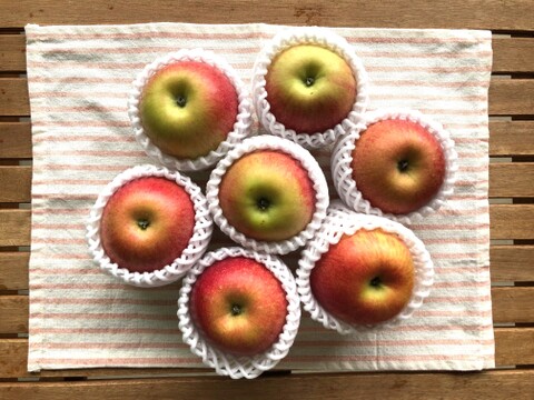 【りんご】シナノスイート 3kg（8~13 玉）贈答・家庭用ミックス商品