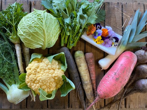農薬・化学肥料不使用！西洋野菜とカラフル野菜セット！！