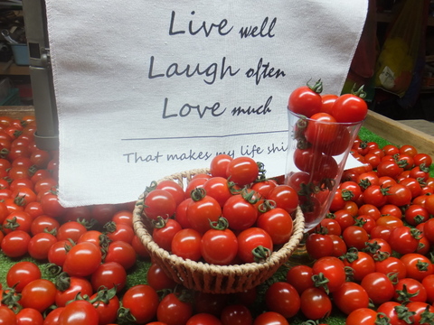 赤い宝石　ミニトマト『サンチェリーピュア』　1㎏（500gX
2袋 　約5パック分）